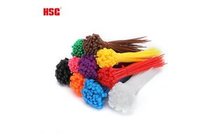 Factory White/Black/color Nylon66 Plastic Nylon Cable Ties