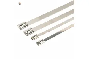 DEYI Stainless Steel Self-Locking Cable Ties 100PCS Industrial & Electrical Use Customizable Width & Length (Including 200mm)