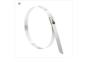 DEYI Reusable Stainless Steel Self-Locking Cable Ties 100PCS Industrial Electrical Use Customizable Width Length Including 200mm