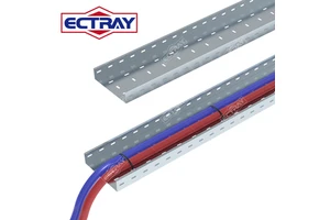 ECTRAY High Quality Cable Management Tray Steel Cable Tray Ladder Type OEM ODM Zinc Aluminum Magnesium Cable Tray