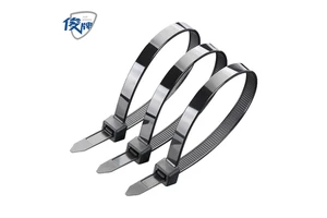 JUNPAI Nylon 66 Self-Locking Heavy Duty Cable Ties 2.5 X 100mm 100 Pcs For Electrical Applications China Zhejiang