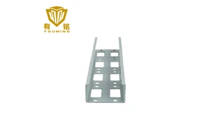 Factory Wholesale Hot -Dip Galvanized Steel Spray Plastic Cable Tray for Building