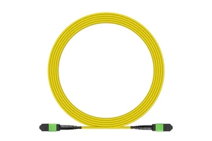 Elite Female Or Male MPO-MPO SM APC 8 Cores/ 12 Cores/ 16cores/ 24 Cores Fiber Optic Patch Cord/jumper Polarity B Or Polarity A