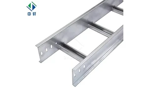 Premium Grade Stainless Steel Wire Management Cable Ladder Tray with Cover for Food Processing Industry Application