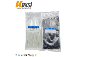 Good Reputation High Quality Own Factory Produce China Plastic Nylon Cable Tie Zip Ties
