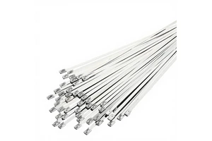 GATI SS316 Self-Locking Cable Ties 4.6mm*300mm Uncoated GC4.6*300 Made in China 100pcs/Bag