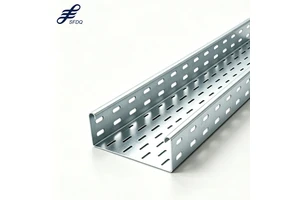 Galvanized Cable Ladder Trunking Cable Raceway Perforated Cable Tray For Shipbuilding Industry