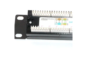 24/48 Ports Cat5e Cat6 UTP Rj45 1U 19'' Patch Panel OEM UV Printing LOGO Module Type