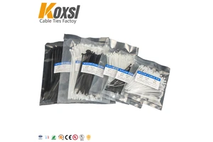 Customized 2.5*100mm Quarterly Self-Locking Cable Tie with Printed Logo Nylon Lifting Rigging Inspection Tags Labels
