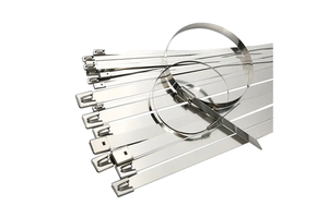 SSCT 316 304 Stainless Steel Cable Ties Stainless Steel Ties