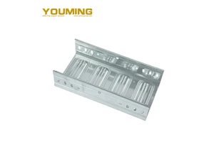 Manufacturer Wholesale Hot Dip Galvanized Ss304 Trough Type Wireways Cable Tray for Infransture