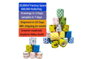 5cm*4.5m Health & Medical Products Adhesive Bandage Self Wound Strip Plaster Tape Self-Adhesive Medical Band Aid Supplier