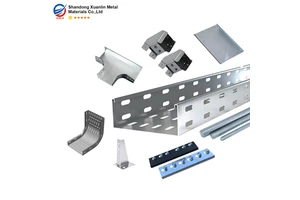 CE Certified Custom High Quality Pre-Galvanized Perforated Cable Tray For Cable Support 30-pcs Capacity MOQ100m