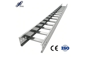 Customize Size Aluminum Cable Tray Price Out Door Cable Tray Ladder Channel Cable Tray for Data Center
