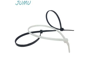 Stock Hot Sale Black and White Nylon Cable Ties 4.8*200mm