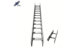 Heavy Duty Galvanized Steel Cable Tray Ladder Type for Electrical Wiring System
