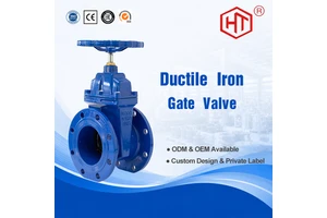 DN100 6 Inch 304 Water Rubber Seal Ductile Iron Carbon Steel Double Flanged Bend Pipe Coupling Ends Gate Valve Manufacturer