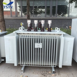 TSTY 380v to 220v 3 Phase 100kva Transformer Oil-immersed Electric Transformer