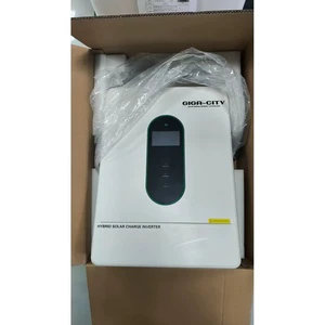 Best-selling model110V 120V 220V 240V Split Phase Hybrid Inverter Built in Free WIFI for American Market