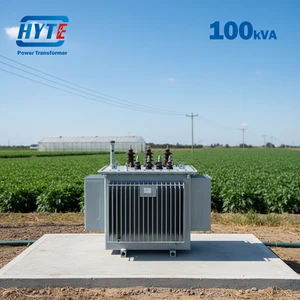 S13-100kVA 10kV 11kV Oil Immersed Transformer for Solar Power Projects6kV 6.6kV 10kV 11kV 15kV 20kV 22kV 24kV 33kV