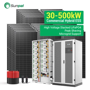 Three Phase Solar Panel Kit 30kw 50 Kw 40 Kw Solar Hybrid Inverter System Sunpal