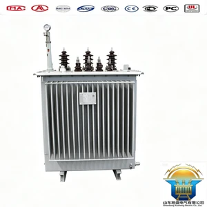Low Noise Lightning Protection S20 250 KVA Electronic Oil-Immersed Type Transformer