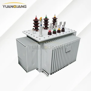 Venue 15kV 0.4kV 100kVA 125kVA 160kVA Oil-Immersed Three Phase Distribution Transformer China Supplier