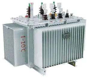 S11 1000kVA 10kV/0.4kV High Power Distribution Transformer