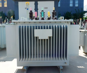 Electric Rhino High Quality 30~6000kVA Three-Phase Immersed Power Transformer with 6/10/35kV Input Voltage 100-130/220-240 Output Voltage