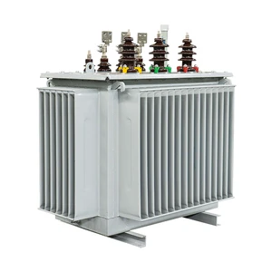 CEEG Customized 3 Phase Electrical 11kv 22kv 30kv 33kv Power 1000kva 1000kw MV&HV Distribution Transformer
