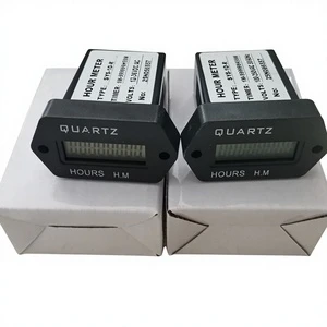 SYS-1D-R AC100V-250V DC12V-36V Accumulating Counter Digital Display Electronic Timer Hour Meter 1 Meter Min Setting