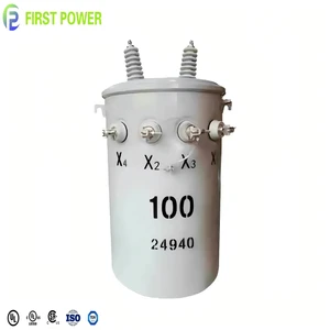 ANSI MV&HV D11 Type 50/60HZ 15KVA 50KVA 11KV Single Phase Pole Mounted 10KV Transformer 100KVA For Electric Power Distribution