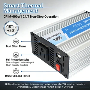 600W 1200W Peak Pure Sine Wave Power Inverter DC 12V 24V To AC 110V 220V With USB