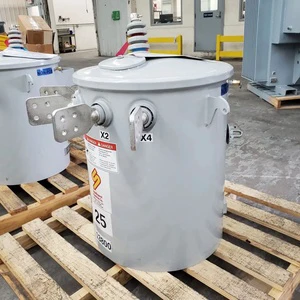 11kV Single Phase 50/60Hz Oil-Immersed Transformer Electricity Power with 120V 220V 240V Output