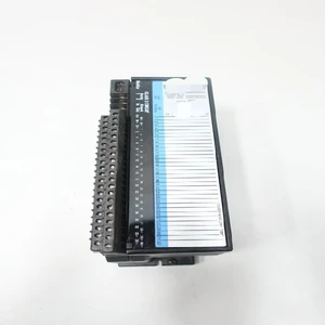 IC660BBD024W Nius Io Module