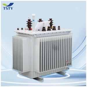 TSTY Transformer Factory Direct Sales Oil-immersed Transformer Power Transformer