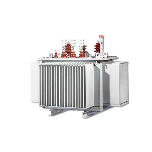 S11/S13 Oil-immersed Three-phase Power Transformer All Copper High Voltage 380V Input 315/400/630/1250kva China