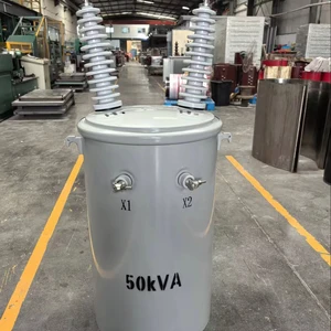 Oil-Filled Power Single Transformer Price 50KVA Low-priced Distribution Oil transformers for Industrial Plants