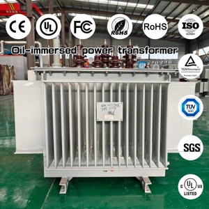 Control Transformer 2500 Kva 3000 Kva 5000 Kva Three Phase Step Power Electrical Oil Immersed Copper Winding IEC60076 Standard