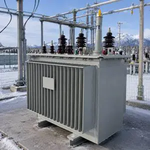10kV Oil Immersed Distribution Transformer S11 S13 Three Phase Step Down Power Transformer Manufacturer