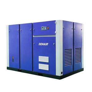 Denair High-End New Technology Voctor Inverter Rotary Screw Air Compressor