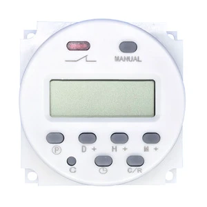 Programmable Digital Timer 220V DC Switch with Remote Control Mini Size Portable Industrial Use