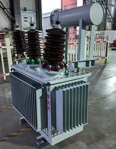 Oil-immersed Three Phase Power Transformer for Solar Power Plants CEEEG 10MVA 100MVA Substation 66kV 2500kVA OEM ODM