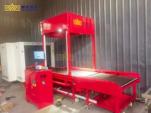 Fengwang High Efficient Intelligent Dws Sorting System PLC Adjustable Speed Precise Package Dimension Weighing Equipment