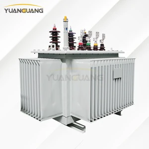 City Power Grid 10kV 400v 5MVA 80kVA 100kVA Oil-Filled 3 Phase Distribution Transformer OEM/ODM