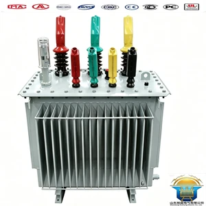 Quick Installation Impact Resistance S20 200 KVA Electrical Oil Immersed Power Transformer