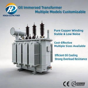 High Voltage MV&HV Three-phase Power Distribution Transformer Oil Immersed Step up 50/60Hz 480V/440V Competitive Price