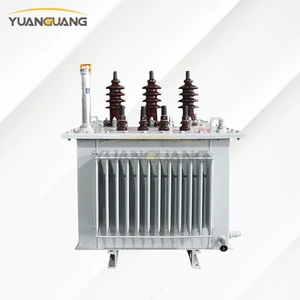 Outdoor 10kV 0.4kV 80kVA 100kVA 125kVA Oil-Immersed Three Phase Amorphous Alloy Distribution Transformer China Manufactory