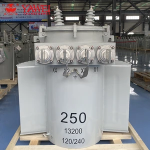High Perfomance 13.8KV 240V/480V 100KVA Oil Immersed Distribution Transformer Single Phase Pole Mounted Transformer