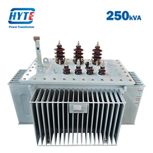 S11 250kVA 10kV 6kV 6.6kV 10kV 11kV 15kV 20kV 22kV 24kV 33kV Oil Immersed Transformer for Unstable Voltage Areas in Africa
